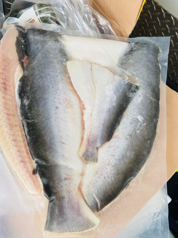 Khô cá dứa 1 nắng