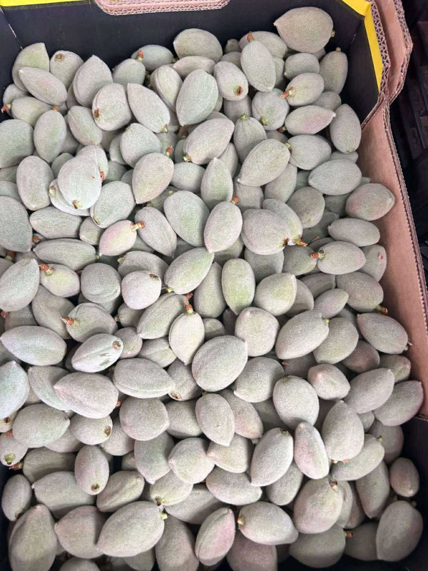 Trái Hạnh nhân 15$ 1kg