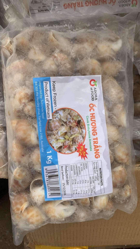 Ốc Hương trắng 35$