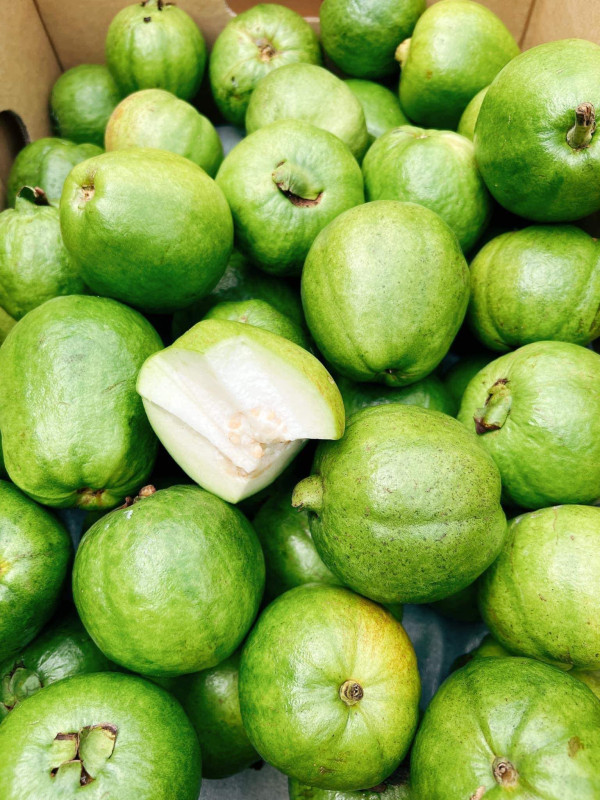 Ổi tươi thùng 8kg