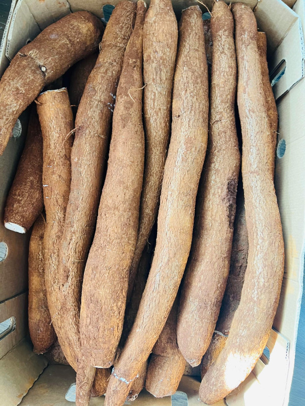 Khoai mì tươi 1kg