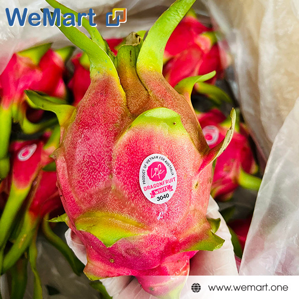 Thanh Long ruột đỏ 15$