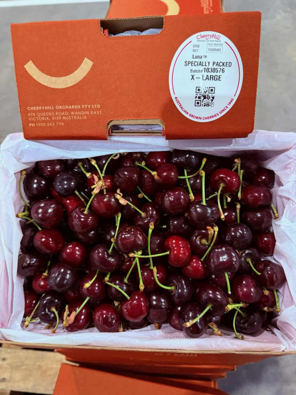 Cherry Hill size 30-32