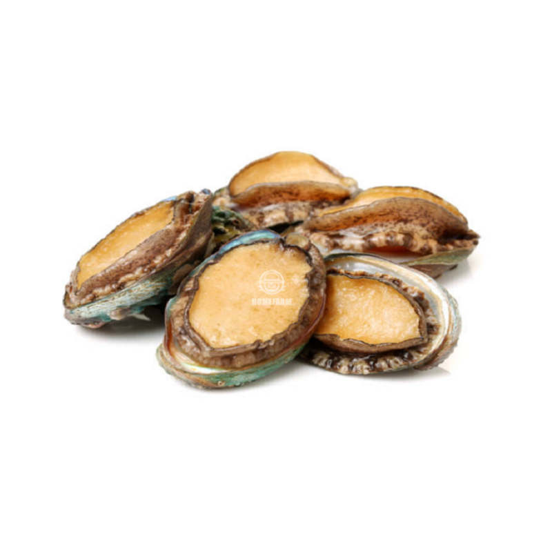 Bào ngư  nho  3 kg