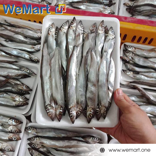 Cá Trứng có đầu