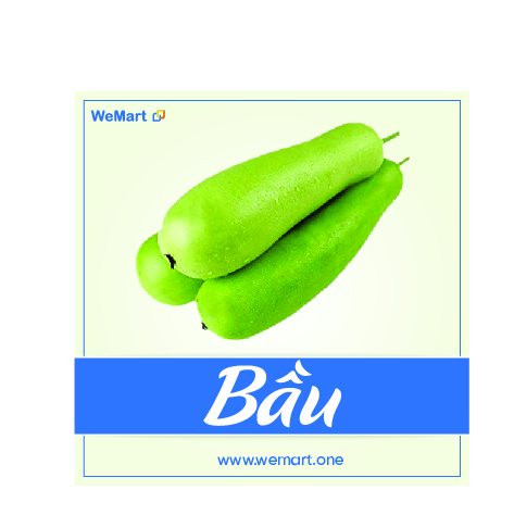 Bầu nhà trồng 6$ 1kg